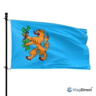 Brummen vlag