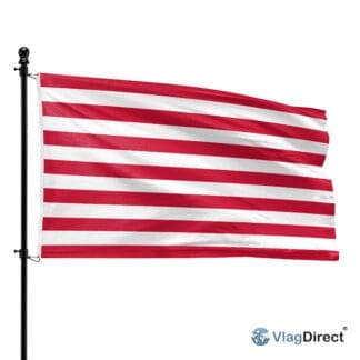 Goes vlag