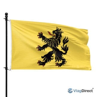 Hulst vlag