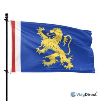Leeuwarden vlag