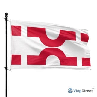 Losser vlag
