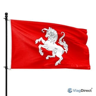 Twente vlag