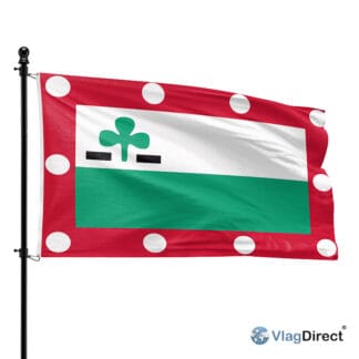 Meppel vlag